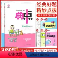 [正版]2024秋版荣德基典中点二年级上册语文数学 R人教版 全2本 二年级上册人教同步练习册荣德基小学系列课时作业本