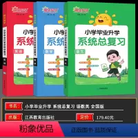 语文数学英语 三本套装 小学升初中 [正版]2024版小学毕业升学系统总复习人教版小升初总复语文数学英语小考真题卷知识点