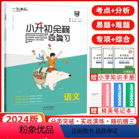 [正版]2024版 一飞冲天小升初全程总复习语文 夯实基础 专项练习模拟 预测卷 练习题讲解天津各地小升初真题荟萃含