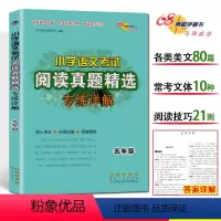 五年级 考试阅读真题精选 小学五年级 [正版]2022新版小学语文考试阅读真题精选专练详解五年级上册下册 小学5年级语文