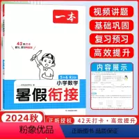 数学 小学五年级 [正版]2025版小学数学暑假衔接5升6衔接专项训练 数学暑假衔接五升六人教版RJ五年级暑假作业数学暑