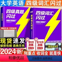[夯实基础]四级词汇+四级真题+词汇默写-3本套 [正版]2024巨微英语四级词汇闪过乱序版大学英语四级高频基础词四级真