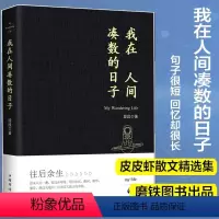 [正版]书店我在人间凑数的日子 段段著皮皮虾书段友新锐作者创作散文精选多篇散文无限的感悟和遐想听什么歌都像在唱自己