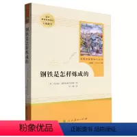 默认 小学通用 [正版]钢铁是怎样炼成的