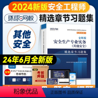 [章节习题集]其他安全实务 [正版]环球网校2024年注册安全师工程师考试章节习题集其他安全实务专业中级注安师用书习题题