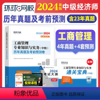 [正版]环球网校新版2024年中级经济师历年真题及押题模拟试卷 工商管理专业知识与实务 23版考试真题试卷全国经济专业