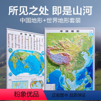 [共2张]中国+世界(送地图+3M胶+放大镜+AR软件) [正版]北斗2024新版中国地图和世界地图挂图 3D高清精雕凹