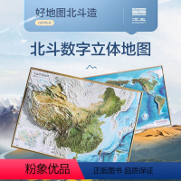 [共2张]中国+世界(含赠品) [正版]2024年中国地图世界地图挂图 3d立体凹凸地形图 92*68cm卫星遥感影像浮