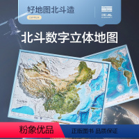 [正版]共2张中国和世界地形图 3d立体凹凸地图挂图 约58*43cm卫星遥感影像浮雕三维图 中小学生地理学习家用墙贴