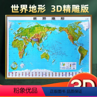 [1张]世界地形图(含赠品) [正版]2024年新版世界地图3d立体凹凸地形图 约1.1x0.8米大尺寸地图挂图 精雕立