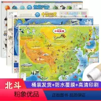 [共4张]中国世界+简史地图(筒装发货) [正版]北斗共4张中国世界地图简史地图星座地图挂图 86*60cm地理百科地图