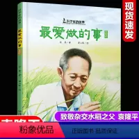 袁隆平《最爱做的事》(平装) [正版]中国十大华人改变世界科学家故事平装绘本袁隆平爱做的事屠呦呦神奇的小草两弹元勋邓稼先
