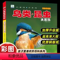 [彩图注音版]鸟类.昆虫大百科 [正版]小眼睛看世界昆虫鸟类大百科全书认识图鉴中国野外观察手册儿童彩图注音版小学生一二年