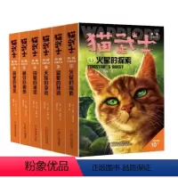 猫武士外传 长篇小说 第一辑1-6册 [正版]猫武士八部曲中文版无星之族全套3册 传奇的猫族猫武士全套一二三四五六年级