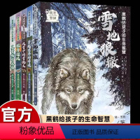 [全套5册]黑鹤给孩子的生命智慧 [正版]格日勒其木格黑鹤动物小说系列故事书亲近大自然感悟生命的智慧小学生三四五六年级课