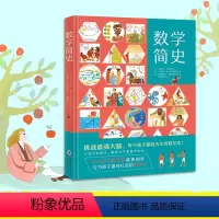 [精装]数学简史 [正版]升级版硬壳精装儿童版数学简史 做数学优等生小学生数学百科全书 适合7-14岁阅读 数学启蒙课外