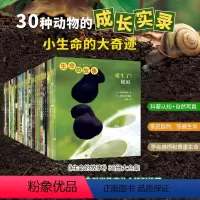 [30册]生命的故事 [正版]生命的故事绘本30册系列儿童少儿昆虫百科全书动物世界生命简史 2-3-6岁 幼儿园儿童图书