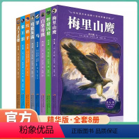 [8册]沈石溪动物小说 [正版]全套8册动物大王沈石溪动物小说全集的书残狼灰满/梅里山鹰/红奶羊/象王泪系列单本小学生课