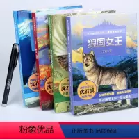 动物小说全集(4册) [正版]全套4册沈石溪动物小说全集感悟生命书系品藏 狼国女王 红豺 五彩龙鸟 7-12-15岁儿童