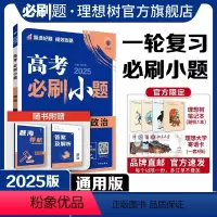 政治 全国通用 [正版]理想树2025新版高考必刷小题政治高二高考小题基础题选择填空题高考一轮二轮总复习高考