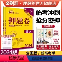 语文 新高考版 [正版]理想树2024新版高考必刷卷押题卷语文新高考全国卷名师原创高三总复习高考必刷题临考冲刺预测考向信