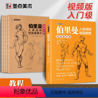 [全套]教程+描摹本 [正版]伯里曼人体结构绘画教学人体结构入门教程解剖动态骨骼透视艺考生美术生人体素描速写临摹基础初学