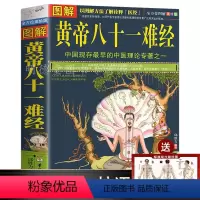 [正版]图解黄帝八十一难经白话解皇帝内经八十一难81难经黄帝内经八十一难零基础自学中医百日通中医入门基础理论书籍