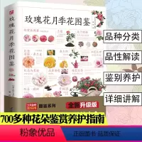 [正版]玫瑰花月季花图鉴 植物科普百科全书书籍自然科学读物百科全书养花养植物养护指南玫瑰月季基础知识科普特征种类鉴别