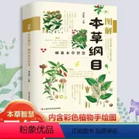 [正版]本草纲目原版全套李时珍中草药彩图中医基础理论大全原版全套医学中医养生入门黄帝内经中药材书籍图解大全倪海厦中医书
