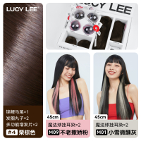 鞠婧祎同款假发片LUCY LEE白魔盒五件套真发挂耳染马尾丸子头套装 棕发五件套 挂耳染 粉+灰(各2条)