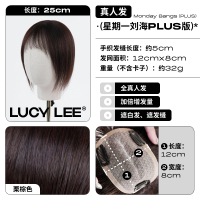 LUCY LEE 星期一刘海PLUS假发片空气刘海女自然假发贴头顶补发片 栗棕色25cm