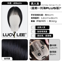 LUCY LEE 星期一刘海PLUS假发片空气刘海女自然假发贴头顶补发片 自然黑25cm
