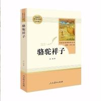 骆驼祥子 单本 人教版骆驼祥子海底两万里原著正版初中七年级下必读课外阅读书籍