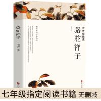 骆驼祥子-全译本 海底两万里和骆驼祥子人教版初中生原著初中版七年级下册课外阅读