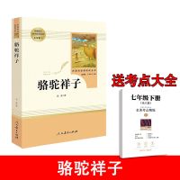 骆驼祥子[244页]人教版 送考点 骆驼祥子老舍海底两万里七年级下册原著人民教育出版社人教版初一