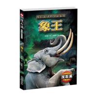 象王 沈石溪动物小说全集全套 狼王小学生课外阅读书籍 四五六年级任选