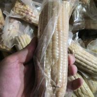 快递限重 5斤左右10支左右 白糯糖分较高 残次品甜糯玉米不退换每件约5斤产地直发有坏果联系客服小额理赔
