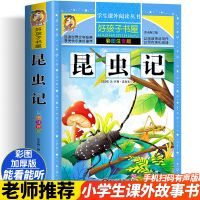 昆虫记 专为小学生设计[彩图+注音有声] 昆虫记正版小学生法布尔昆虫记全集三四五六年级小学生必读课外书