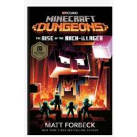 默认 我的世界之地下城 Minecraft Dungeons Rise 青少年课外阅读
