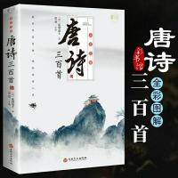 全彩图解(彩书馆 ) 元曲三百首 唐诗三百首全集正版 全彩图解 宋词三百首元曲中国古诗词鉴赏书籍