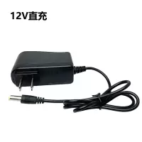 12V 直充 12v锂电池 手电钻锂电转 大容量动力电芯 12伏充电器