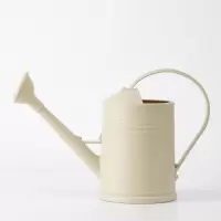 2L-象牙色-洒水壶(可拆卸花洒头) 洒水壶大容量长嘴浇花喷壶园艺专用工具养花家用加厚可拆卸淋水壶