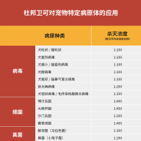 无香型 杜邦卫可消毒液环境杀菌宠物专用喷雾猫咪狗狗室内消毒粉拖地宠乐