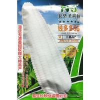 钱多多66原装200克 钱多多66白甜糯玉米种子薄皮无渣香甜软糯大棒高产农家白玉米种籽