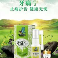 一瓶装20ml 广雅牙痛宁喷剂牙痛立可停牙疼蛀虫蛀牙上火牙痛牙龈肿痛外用喷剂