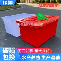 红无盖 加厚50L:49*34*26cm 加厚塑料桶水箱带盖大号储水桶长方形养殖鱼虾泡瓷砖方桶家用蓄水