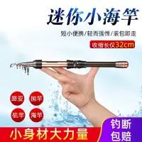 高碳逆丝海竿1.3米裸竿 迷你小海竿抛竿超短节鱼竿超硬小海杆套装远投竿伸缩路亚竿甩杆19