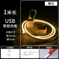 单色usb插头带开关款-暖白光1米 蓝牙usb七彩电竞灯带手机智能控制电脑电视rgb氛围灯带光污染灯条