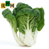 一袋零售价 矮脚奶白菜种子小白菜青菜黑油菜春夏季四季蔬菜基地种籽蔬菜种孑