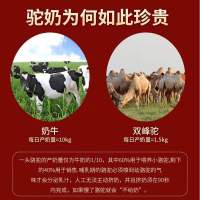 驼奶钙片[1瓶] 驼奶钙片补钙儿童青少年成人中老年长个变高钙片官方旗舰店